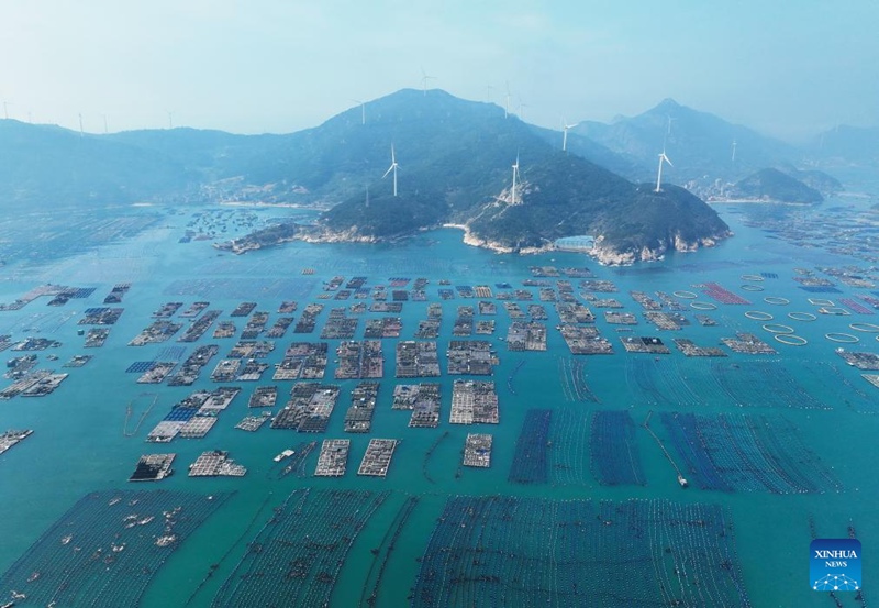 Ufugaji wa abalone baharini waanza Fujian, China wakati hali ya hewa inapokuwa ya joto