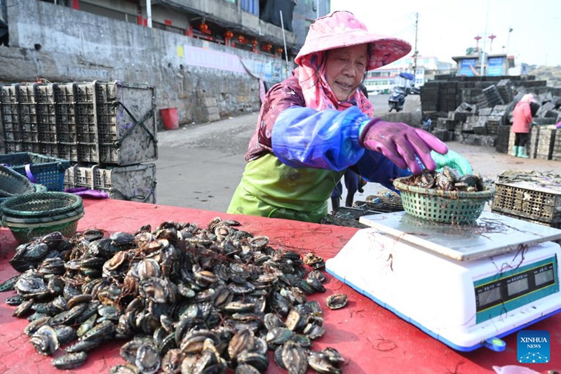 Ufugaji wa abalone baharini waanza Fujian, China wakati hali ya hewa inapokuwa ya joto