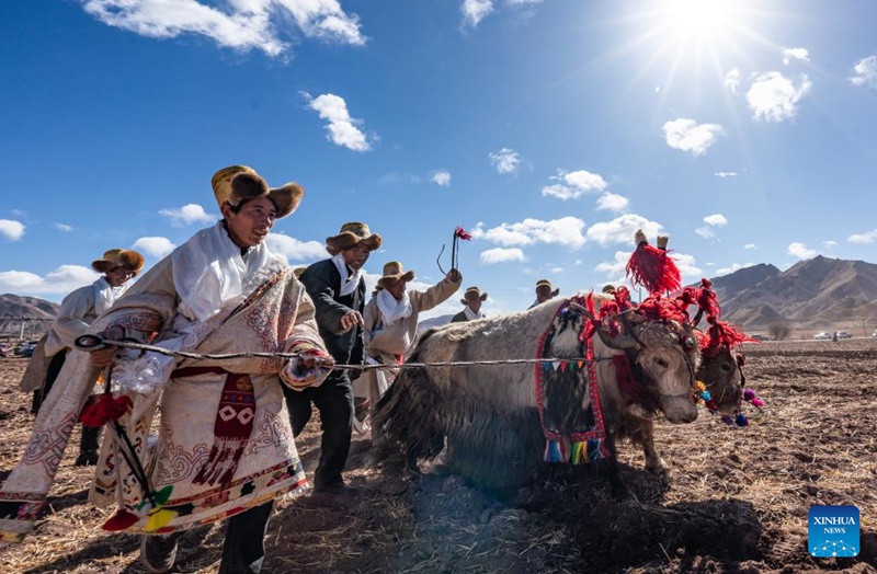Wakulima wakishiriki kwenye hafla ya kuanza kwa kilimo cha majira ya mchipuko katika Tarafa ya Codoi ya Wilaya ya Lhunzhub ya Mji wa Lhasa, Mkoa unaojiendesha wa Xizang, kusini-magharibi mwa China, Machi 16, 2025. (Xinhua/Tenzin Nyida)