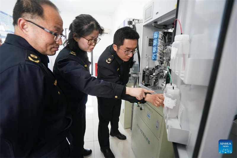Eneo la Delta la Mto Yangtze lashuhudia upigaji hatua katika maendeleo ya kijani na jumuishi ya kiikolojia