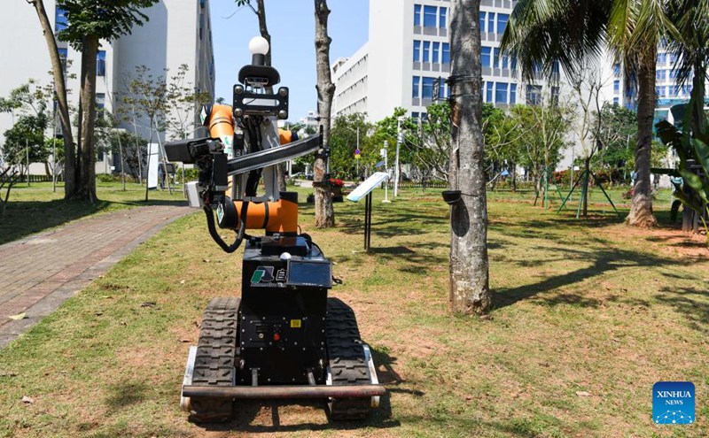 Picha iliyopigwa Machi 4, 2025 ikionesha roboti jongefu ya kugema mpira wa asili mjini Haikou, Mkoa wa Hainan, Kusini mwa China.   Ikiwa imeundwa kwa pamoja na Akademia ya Sayansi za Kilimo cha Kitropiki ya China (CATAS) na kampuni ya teknolojia ya Automotive Walking Technology yenye makao yake mjini Beijing, roboti hiyo ya kujiendesha yenyewe iko tayari kufanyiwa majaribio kwenye mashamba ya zao la mpira mkoani Hainan wakati wa msimu wa mavuno mwezi Aprili. (Xinhua/Yang Guanyu)