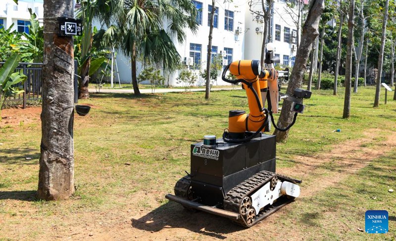 Picha iliyopigwa Machi 4, 2025 ikionesha roboti ya kuvuna mpira inayoweza kutembea huko Haikou, Mkoa wa Hainan wa Kusini mwa China. (Xinhua/Yang Guanyu)
