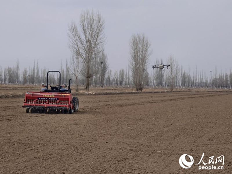 Trekta inayoendeshwa na droni na droni zikifanya kazi za kilimo shambani kwenye kijiji cha Tonggui mjini Yinchuan, Ningxia, China. (Picha na Liang Hongxin/People’s Dailly Online)