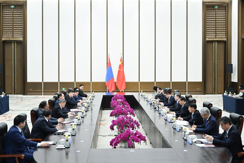 Naibu Waziri Mkuu wa China Ding Xuexiang akikutana na Naibu Waziri Mkuu wa Kwanza wa Mongolia mbaye pia ni Waziri wa Maendeleo ya Kiuchumi, Luvsannyam Gantumur, ambaye yuko China kuhudhuria mkutano wa mwaka 2025wa Baraza la Asia la Boao unaoendelea huko Boao, Mkoani Hainan, kusini mwa China, Machi 26, 2025. (Xinhua/Li Xiang)