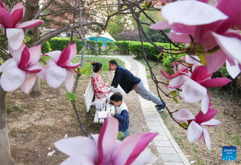 Familia ikifurahia muda wa mapumziko kwenye bustani mjini Beijing, mji mkuu wa China, Aprili 6, 2025. (Xinhua/Yin Genge)