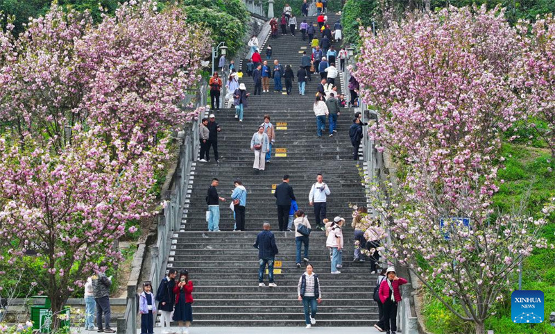 Watu wafurahia likizo ya Siku ya Qingming nchini China