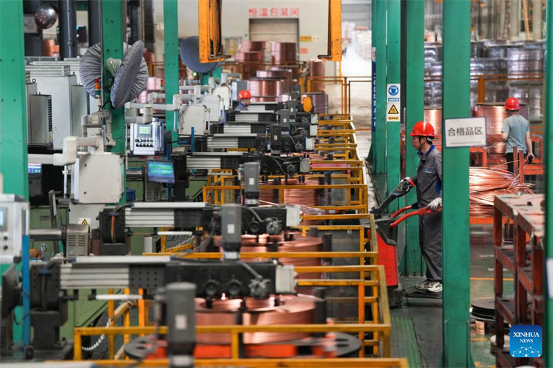 Mfanyakazi akionekana kwenye karakana ya mabomba ya shaba ya kampuni ya Hailiang ya Zhejiang katika Mji wa Diankou wa  Zhuji, Mkoa wa Zhejiang, mashariki mwa China, Aprili 7, 2025. (Xinhua/Zheng Huansong)