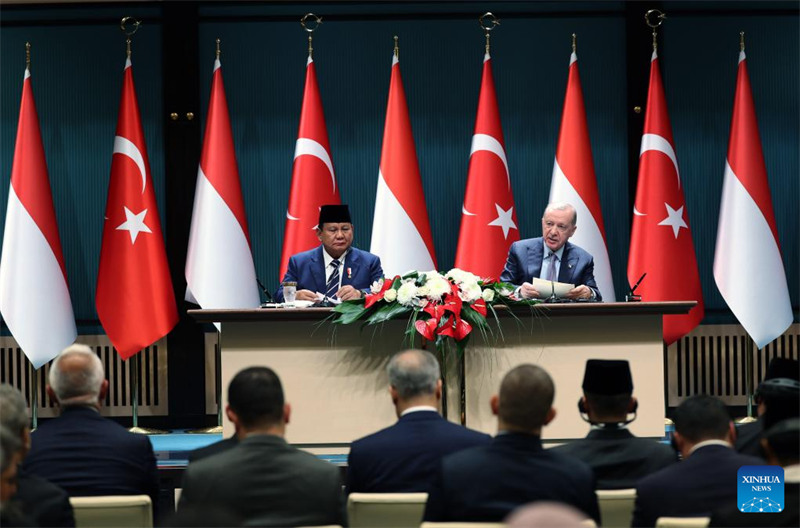 Rais Recep Tayyip Erdogan wa Uturuki (kulia, mbele) na Rais Prabowo Subianto wa Indonesia (kushoto, mbele) wakihudhuria mkutano wa pamoja na waandishi wa habari mjini Ankara, Uturuki, tarehe 10 Aprili 2025. (Mustafa Kaya/kupitia Xinhua)