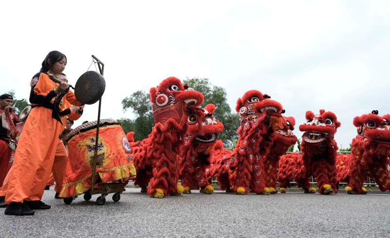 Wasanii  wakicheza ngoma ya jadi ya simba kumkaribisha Rais wa China Xi Jinping mjini Kuala Lumpur, Malaysia, Aprili 15, 2025. (Xinhua/Yu Dongsheng)