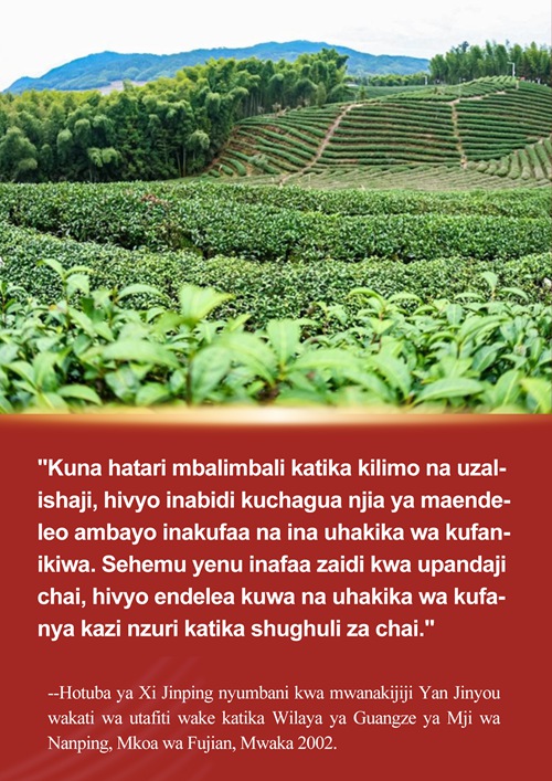 Xi Jinping na simulizi ya chai ya Fujian