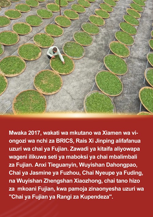 Xi Jinping na simulizi ya chai ya Fujian