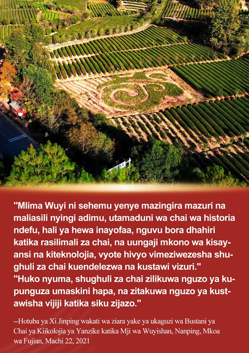 Xi Jinping na simulizi ya chai ya Fujian