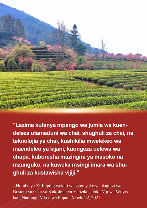 Xi Jinping na simulizi ya chai ya Fujian