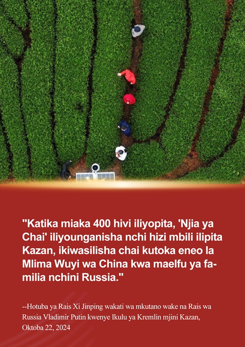 Xi Jinping na simulizi ya chai ya Fujian