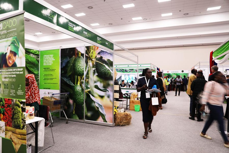 Picha iliyopigwa Mei 31, 2023 ikionesha ukumbi wa Maonesho ya pili ya kimataifa ya Maparachichi ya Afrika (Avocado Africa 2023). (Picha/Xinhua)