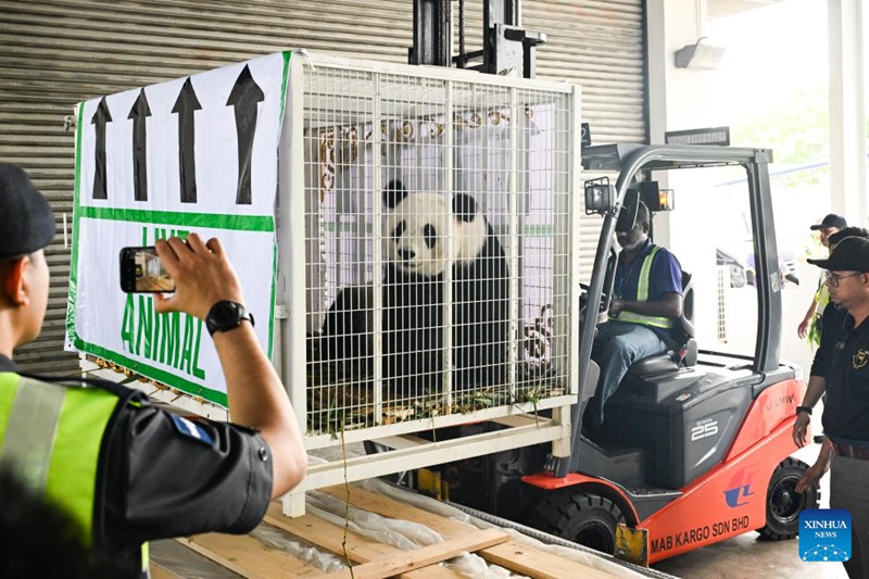 Wamalaysia wawaaga kwa machozi panda wawili Xing Xing na Liang Liang