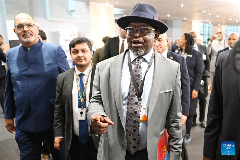 Waziri wa fedha wa Afrika Kusini awasilisha upya bajeti ya 2025 bila kuongeza VAT