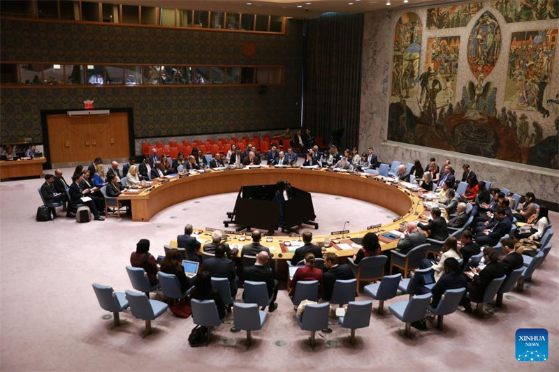 Baraza la Usalama la Umoja wa Mataifa likifanya mkutano juu ya hali ya Mashariki ya Kati, likiwemo suala la Palestina, kwenye makao makuu ya Umoja wa Mataifa mjini New York, Mei 28, 2025. (Xinhua/Xie E)