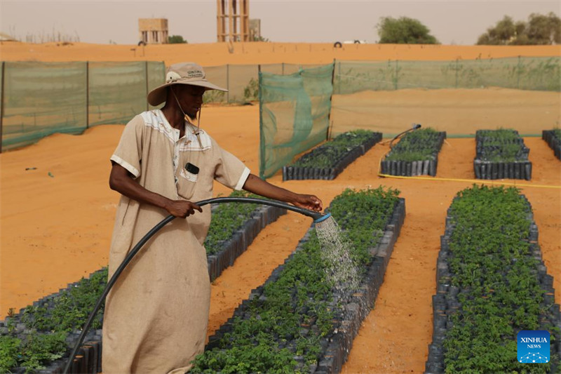 Uzoefu wa China katika kudhibiti jangwa wasaidia  maendeleo ya kijani ya Mauritania