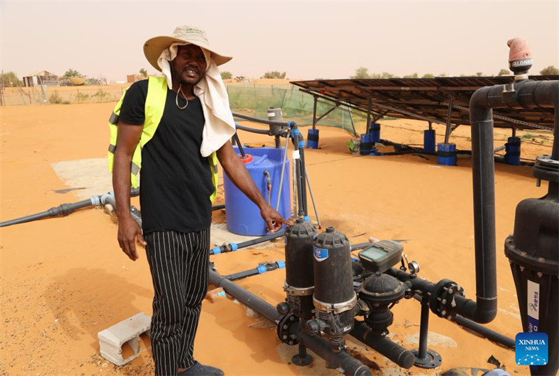 Uzoefu wa China katika kudhibiti jangwa wasaidia  maendeleo ya kijani ya Mauritania