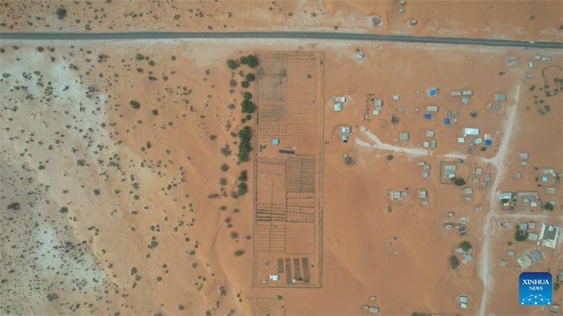Uzoefu wa China katika kudhibiti jangwa wasaidia  maendeleo ya kijani ya Mauritania