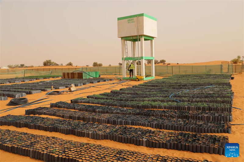 Uzoefu wa China katika kudhibiti jangwa wasaidia  maendeleo ya kijani ya Mauritania
