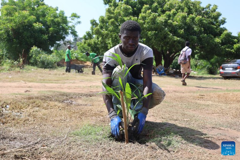 Ghana yazindua mpango wa taifa wa upandaji miti ili kuadhimisha Siku ya Mazingira Duniani
