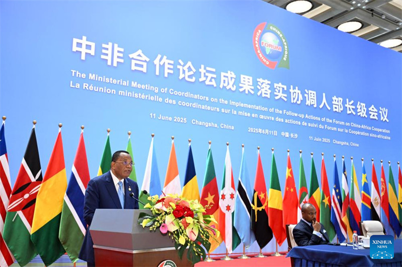 China na Afrika zasukuma utekelezaji wa matokeo ya Mkutano Kilele wa FOCAC wa Beijing