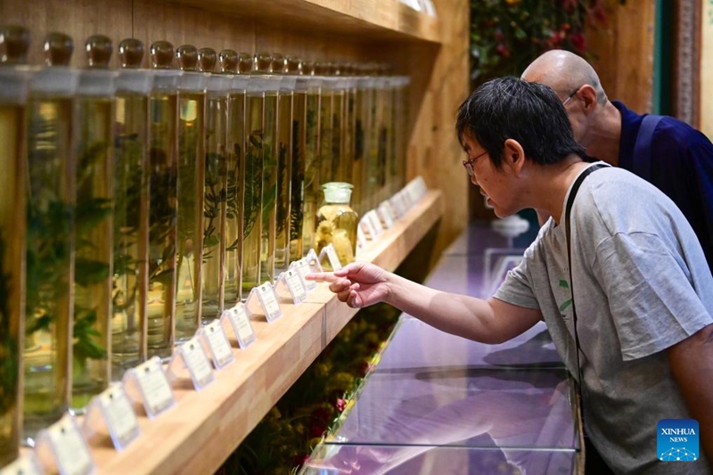 Shughuli za utalii za siku za lavender zahimiza maendeleo ya uchumi katika Mkoa wa Xinjiang, China