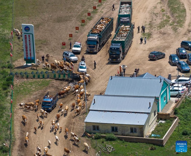 Maisha ya kuhamahama ya mfugaji katika Mkoa wa Mongolia ya Ndani, China