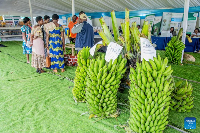 Maonyesho ya Kilimo ya Rwanda yaangazia uvumbuzi kwa mifumo endelevu ya kilimo cha chakula