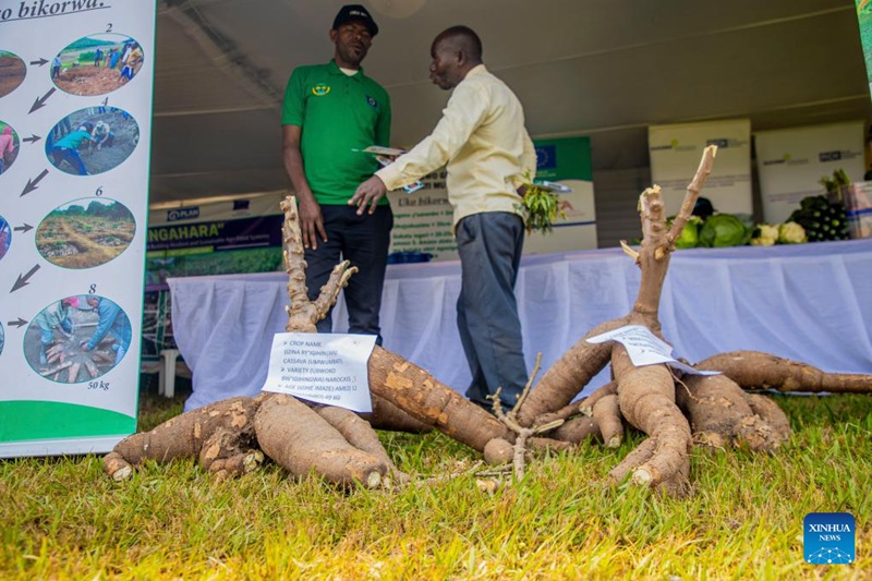 Maonyesho ya Kilimo ya Rwanda yaangazia uvumbuzi kwa mifumo endelevu ya kilimo cha chakula