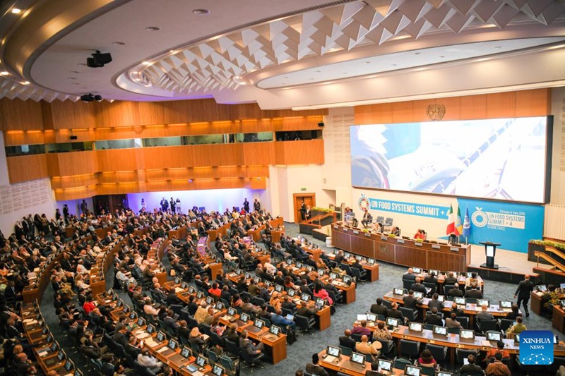 Washiriki wakihudhuria Mkutano wa Kilele wa Pili wa Umoja wa Mataifa wa Mifumo ya Chakula mjini Addis Ababa, Ethiopia, Julai 28, 2025. (Xinhua/Michael Tewelde)