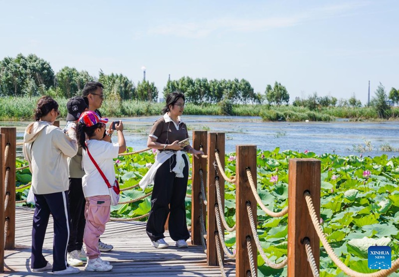 Watu wakitembelea Bustani ya Ardhi Oevu ya Kitaifa ya Manas katika Wilaya ya Manas, Eneo linalojiendesha la Kabila la Wauygur la Xinjiang, China, Agosti 10, 2025. (Xinhua/Zhou Jiayi)