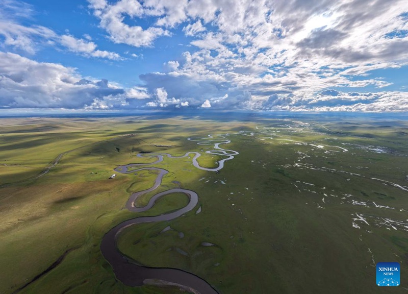 Malisho ya Chenbarhu Banner ya Mongolia ya Ndani, China  yaingia majira ya mchipuko