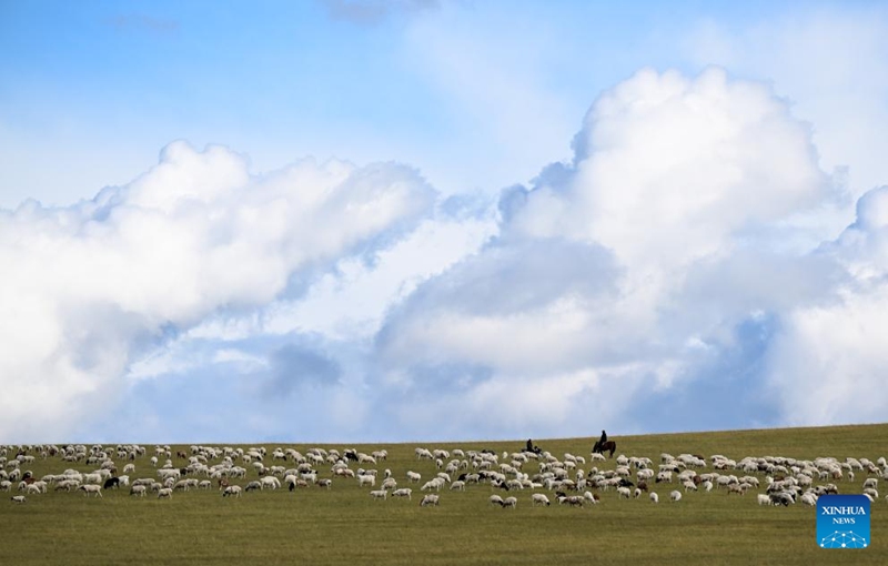 Malisho ya Chenbarhu Banner ya Mongolia ya Ndani, China  yaingia majira ya mchipuko