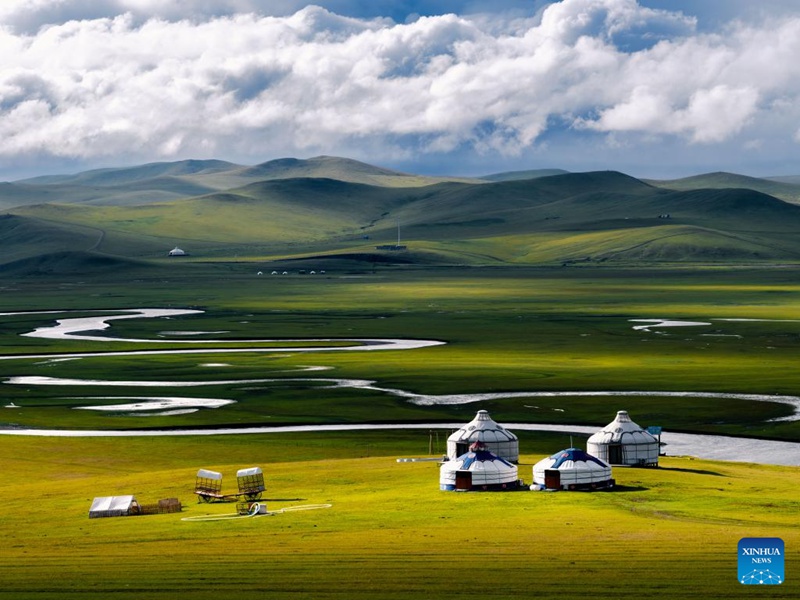 Malisho ya Chenbarhu Banner ya Mongolia ya Ndani, China  yaingia majira ya mchipuko