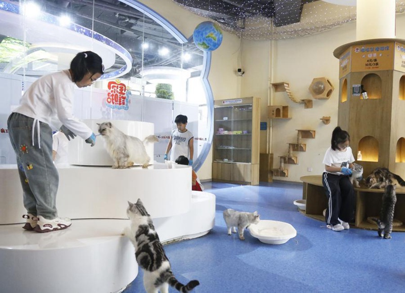 Likizo ya siku nane nchini China yashuhudia mtiririko wa watu, matumizi ambayo hayajapata kuonekana nchi nzima