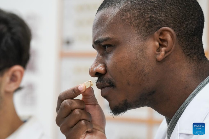 Wanafunzi wa Kimataifa wajifunza matibabu ya jadi ya China mkoani Anhui, China