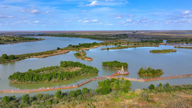 Mkoa wa Shandong, Mashariki mwa China washuhudia ujenzi wa ghuba zinazopendeza