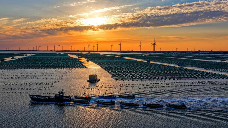 Mkoa wa Shandong, Mashariki mwa China washuhudia ujenzi wa ghuba zinazopendeza