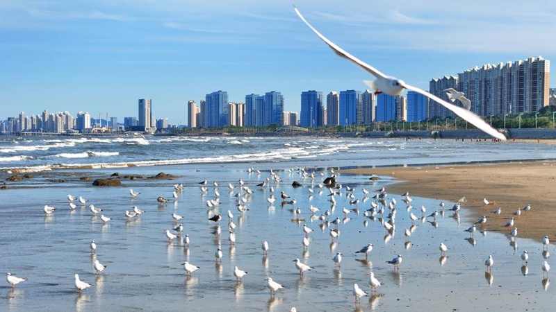 Mkoa wa Shandong, Mashariki mwa China washuhudia ujenzi wa ghuba zinazopendeza