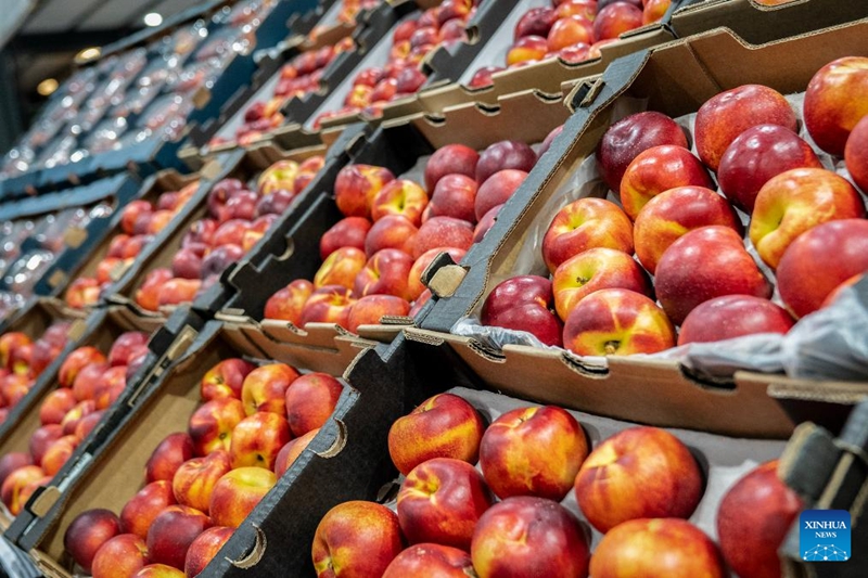 Wafanyabiashara wa matunda wa Afrika Kusini wahifadhi kwa bidii matunda kwa ajili ya kusafirishwa na kuuzwa China