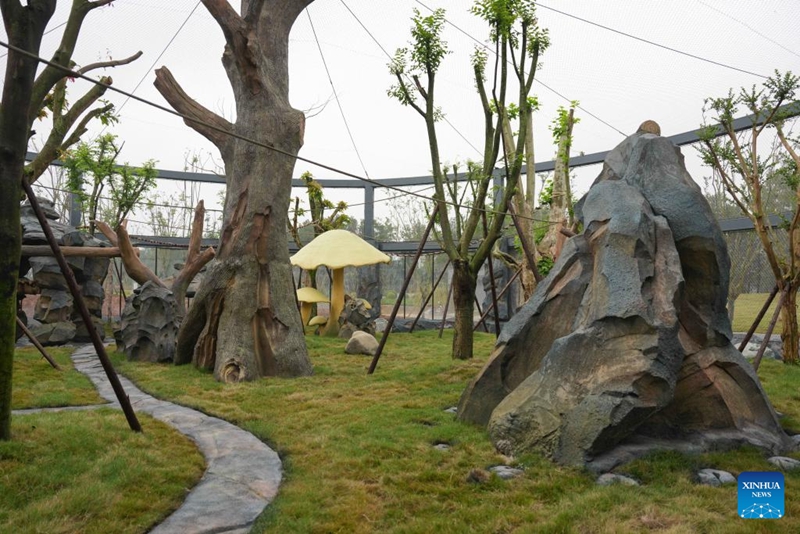 Kituo Kipya cha Uhifadhi na Utafiti wa Panda chaanza kufanya kazi kwa majaribio kusini mwa China