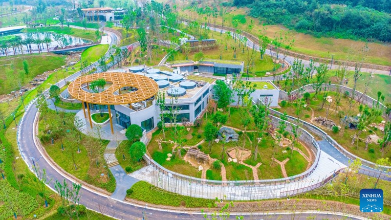 Kituo Kipya cha Uhifadhi na Utafiti wa Panda chaanza kufanya kazi kwa majaribio kusini mwa China