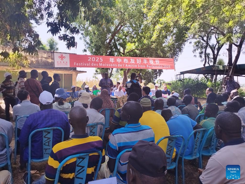 Picha hii iliyopigwa Novemba 6, 2025 ikionyesha  Sherehe ya kwanza ya Mavuno ya Urafiki kati ya China na Burkina Faso iliyofanyika Boulbi, Mkoa wa Kadiogo, Burkina Faso. (Timu ya China ya msaada wa kiufundi wa kilimo/kupitia Xinhua)