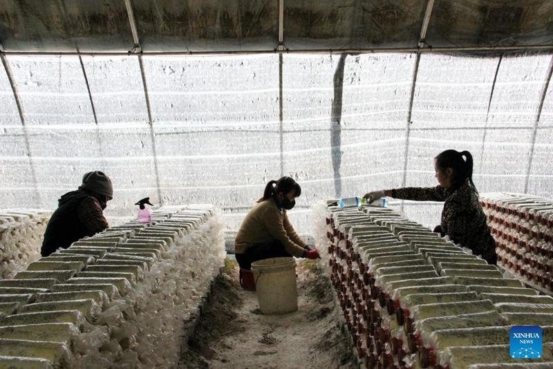 Barabara Kuu ya Kitaifa ya G331 ya China yaleta nguvu hai katika eneo la kando za barabara