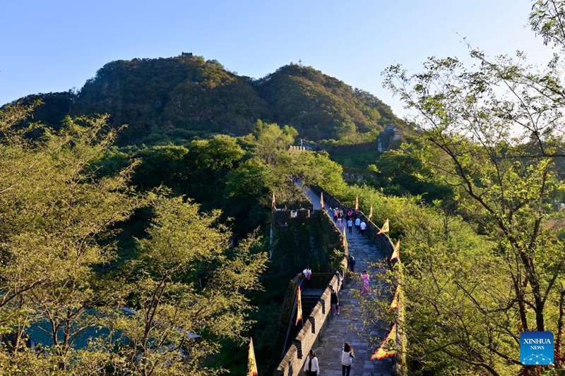 Barabara Kuu ya Kitaifa ya G331 ya China yaleta nguvu hai katika eneo la kando za barabara