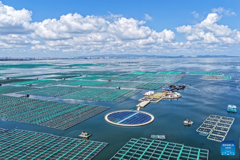 Uchumi wa uvuvi wa baharini wastawi katika Mkoa wa Shandong wa China