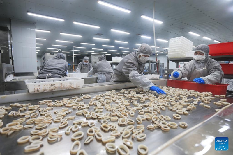 Uchumi wa uvuvi wa baharini wastawi katika Mkoa wa Shandong wa China